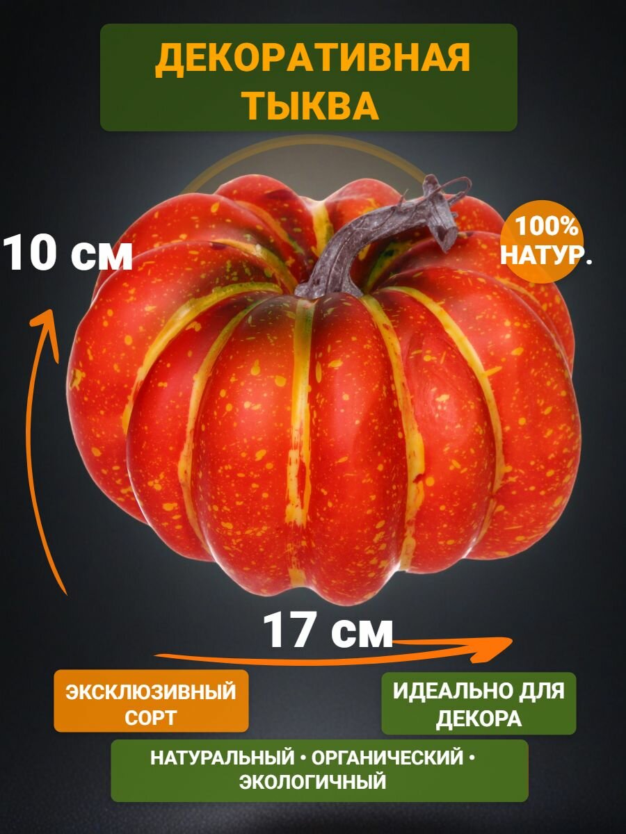 Муляж 