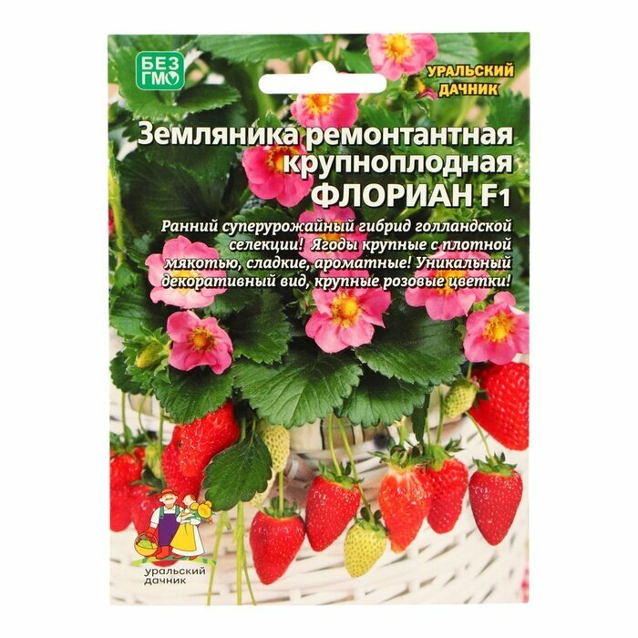 Семена Земляника ремонтантная «Флориан» F1 крупноплодная 5 шт «Уральский Дачник»