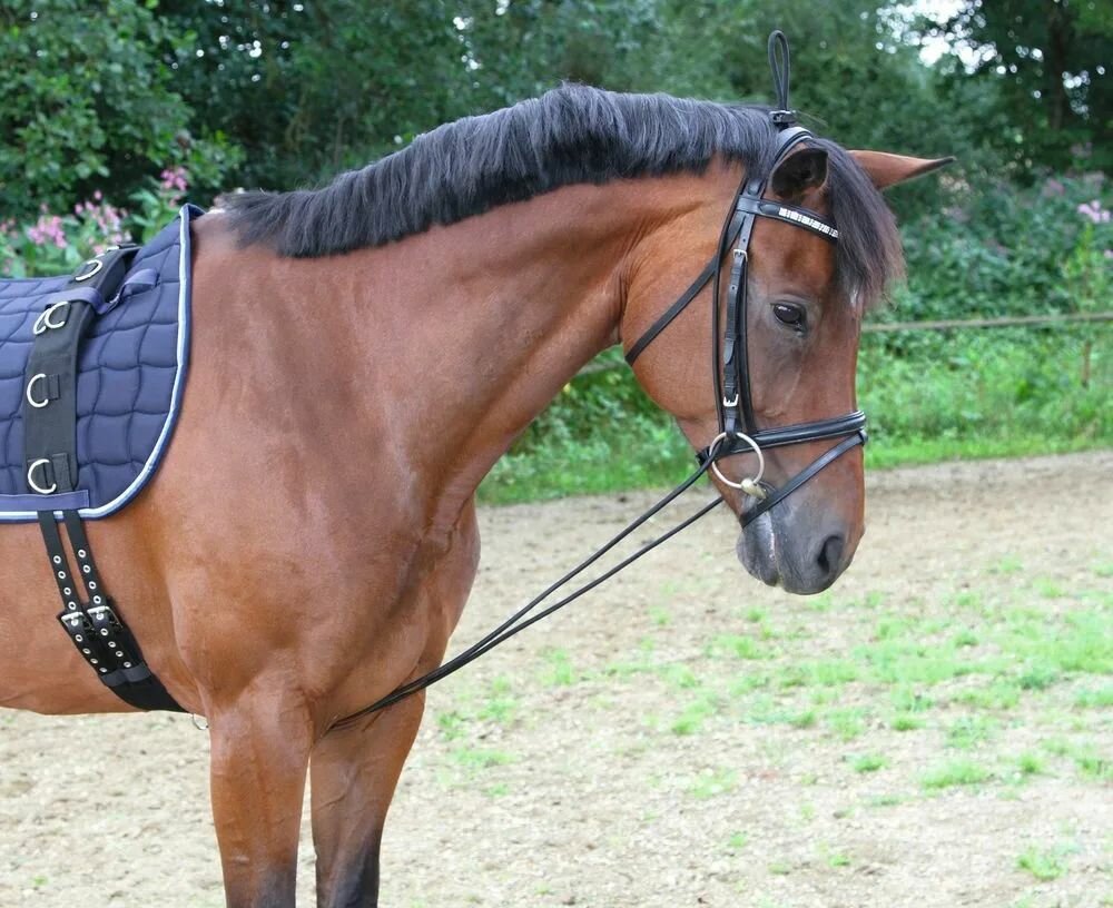 Шамбон резиновый для лошади Tattini, 3 метра