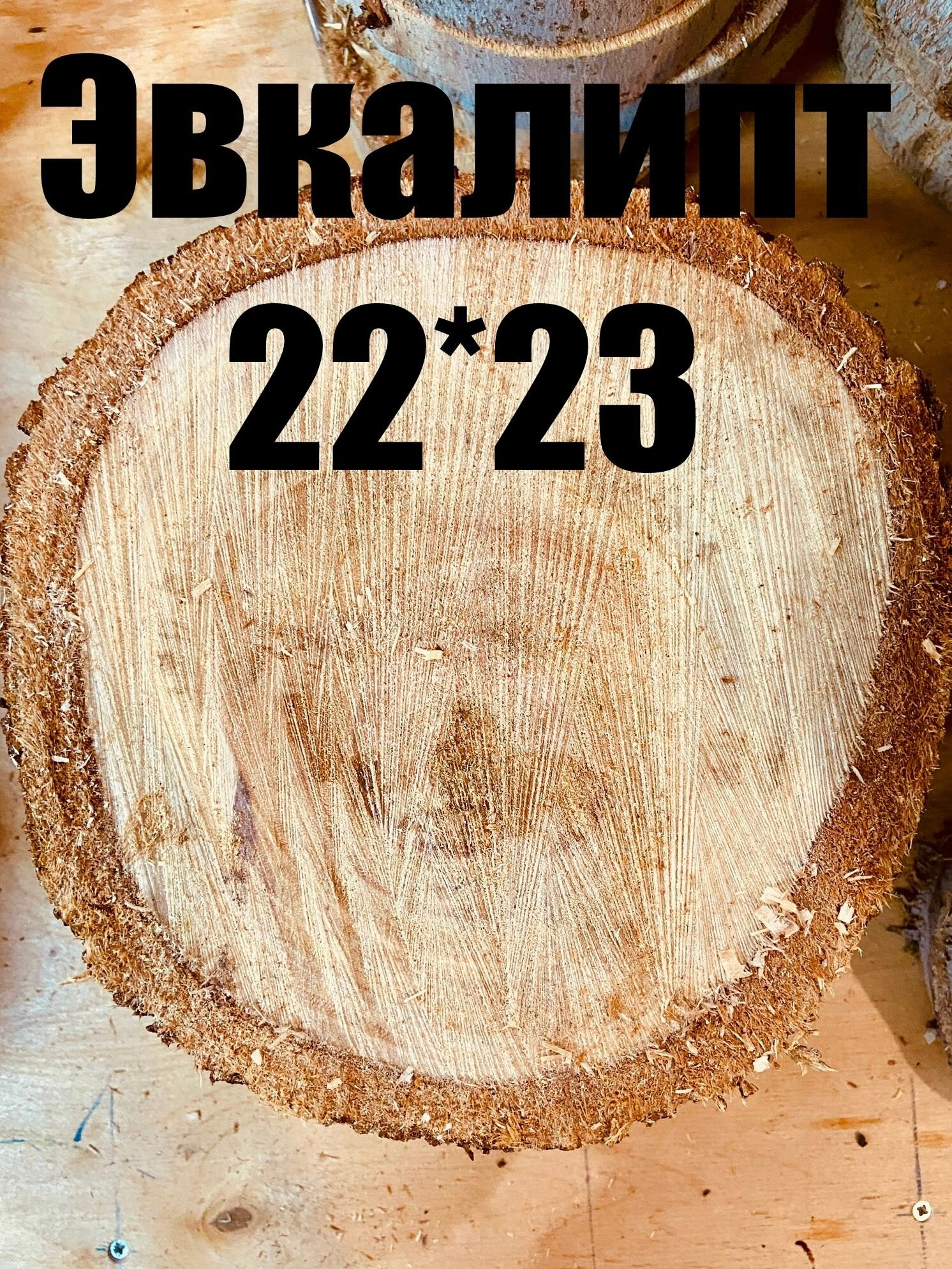 Спил Слэб Эвкалипта диаметр 22*23