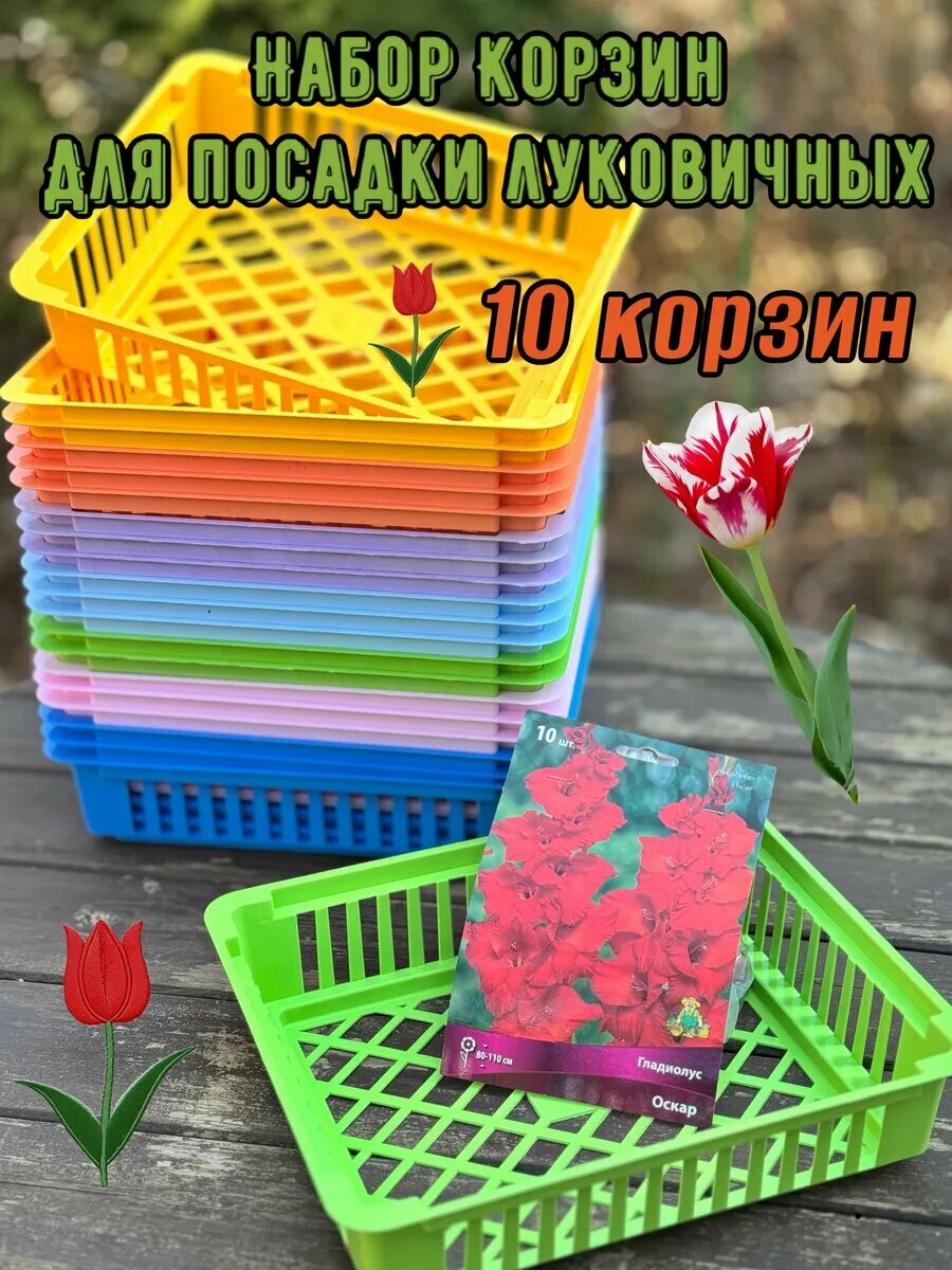 Корзина для луковичных растений и выращивания бабочек 30х25х7см набор 10 шт разноцветный