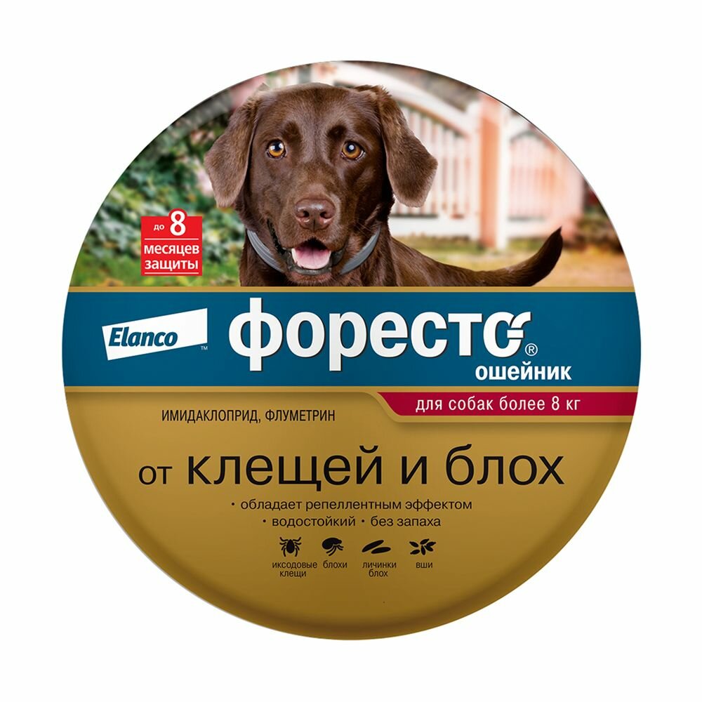 Форесто Ошейник для собак больше 8кг 70см
