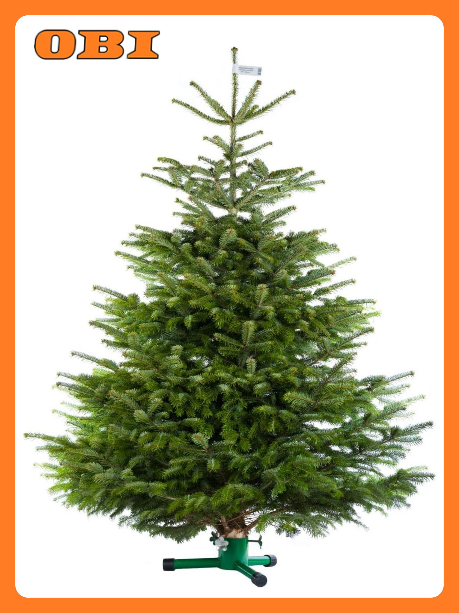 Пихта Нордмана Премиум 125-150 см