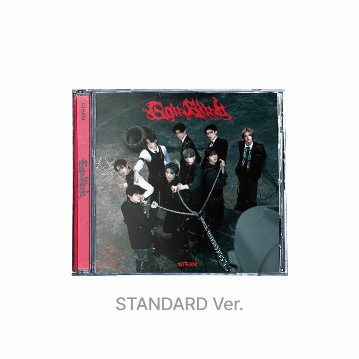 Альбом &TEAM andteam 3rd SINGLE 'Go in Blind' LIMITED EDITION STANDARD