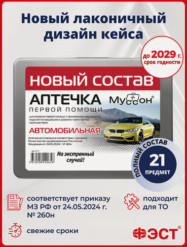 Изображение товара Автоаптечка ФЭСТ, для техосмотра, с замком, влагозащитная, серая