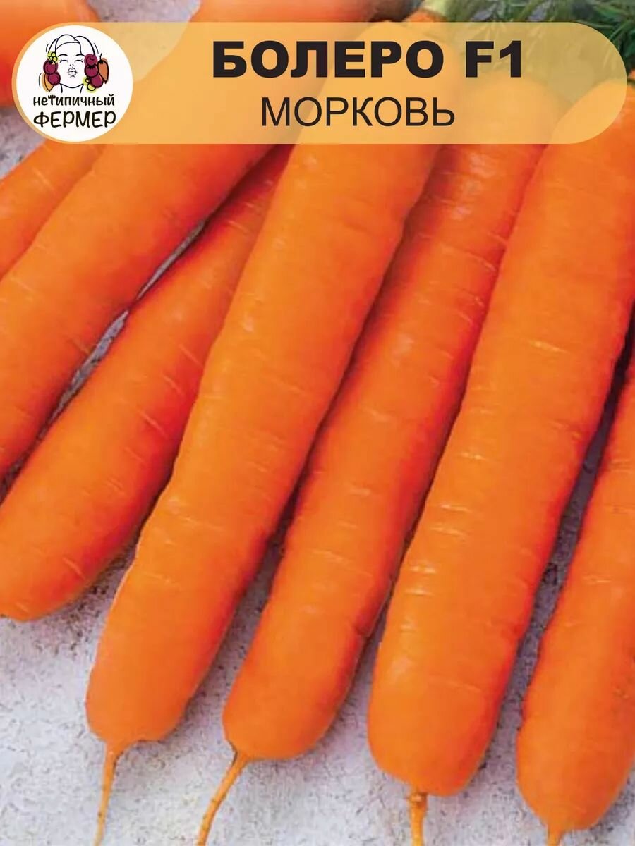Семена моркови Нетипичный фермер 
