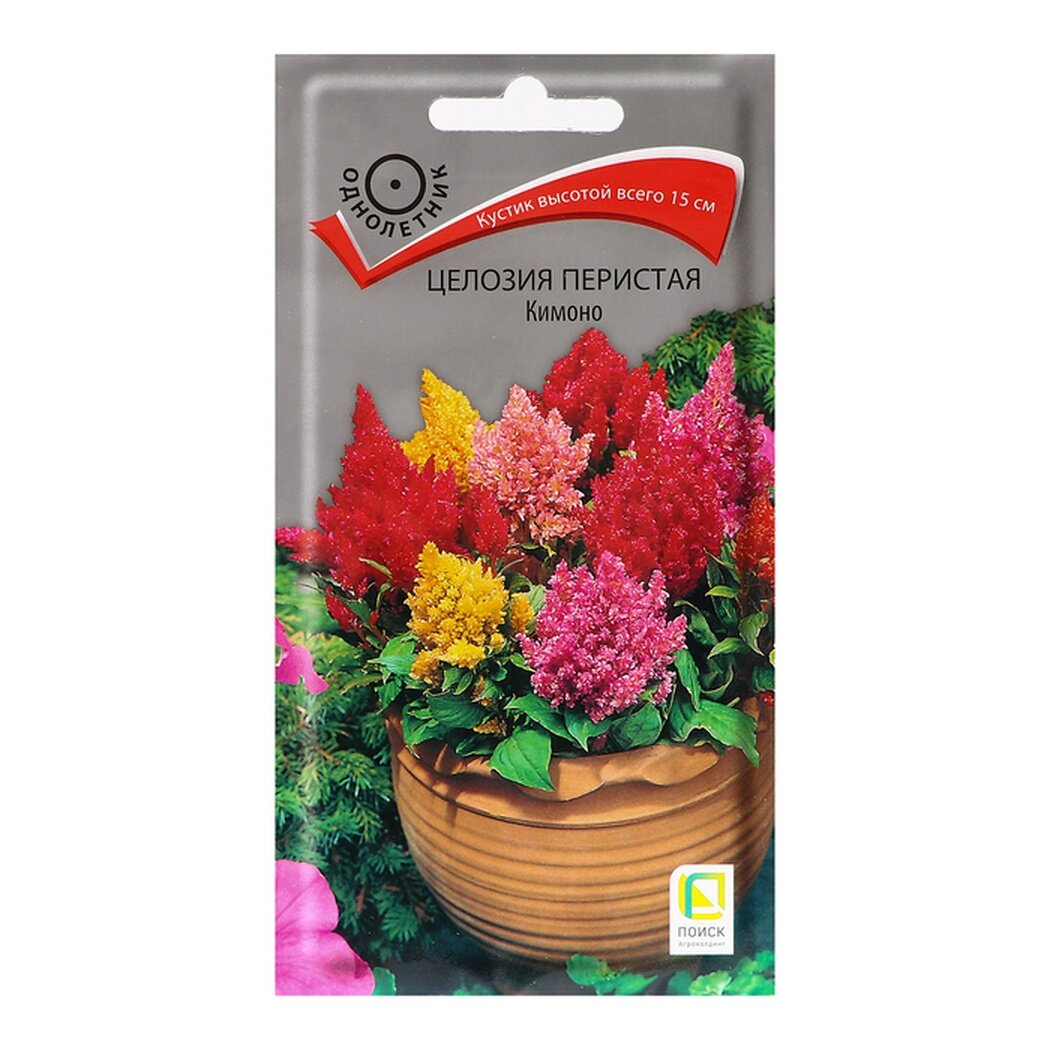 Семена цветов Целозия перистая 