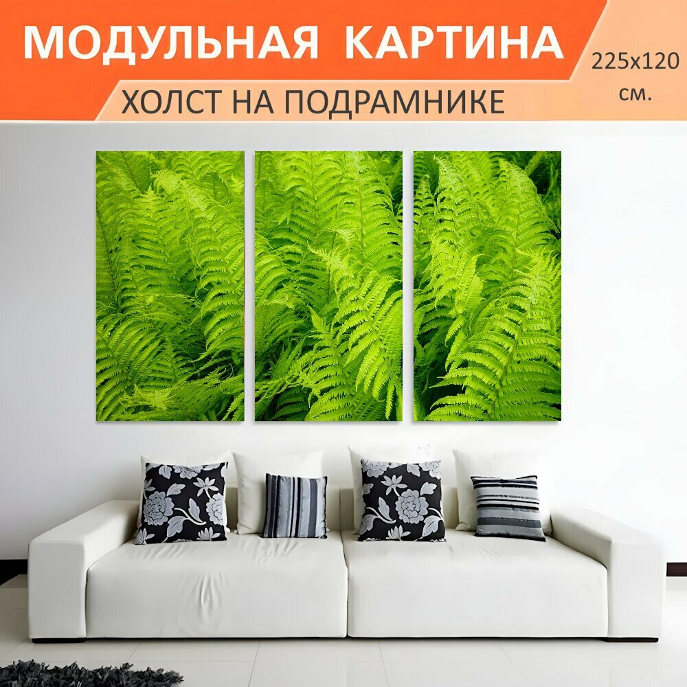 Модульная картина на холсте "Папоротник, судно sporenpflanze, листья папоротника" триптих на подрамнике 225х120 см. для интерьера