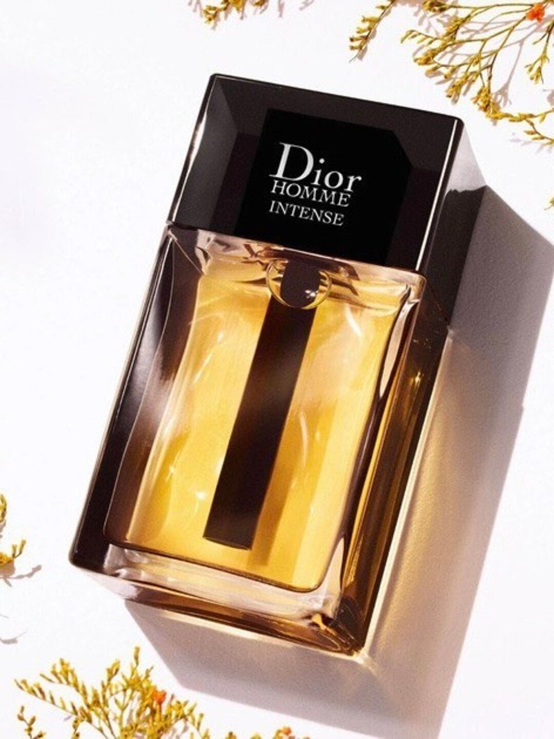 Мужская парфюмерная вода Christian Dior Homme Intense Eau de Parfum, 100 мл