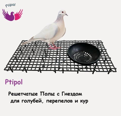 Изображение товара Решетчатый пол ptipol, с гнездом, для голубей и птиц, черный, 35x35 см