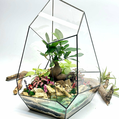 Бонсай Фикус Гинсенг с озером во флорариуме Гранит 28х35см 9240₽