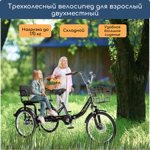 Двухместный трехколесный велосипед для взрослых РВЗ Спутник 20 черный 47495₽