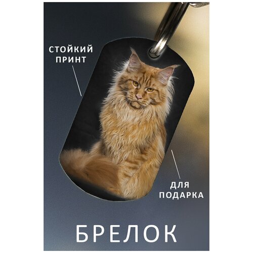 фото Брелок для ключей мейн-кун подарок мужчине ребенку женщине, брелок детский женский мужской, подвеска на рюкзак, брелок на сумку кошка zhenya cloud