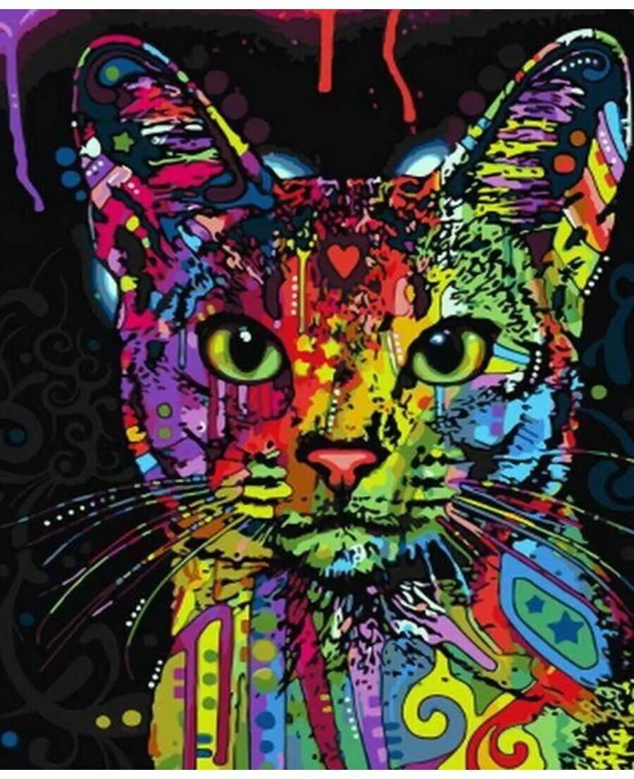 Картина по номерам Абиссинская кошка 40х50 см Art Hobby Home