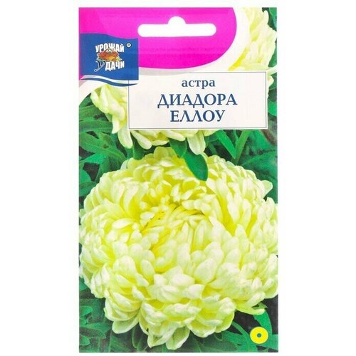 Семена цветов Астра Диадора Еллоу, пионовидная, 0,2 г 12 упаковок семена цветов астра пионовидная белая 0 2 г 20 упаковок
