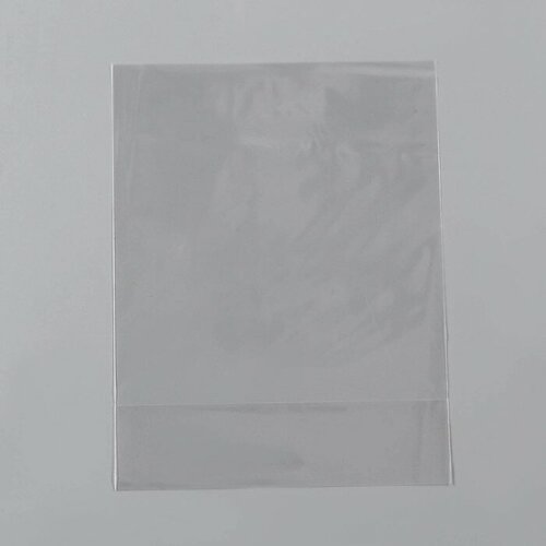 FlashMe Пакет полипропиленовый фасовочный, прозрачный, 18*32*3 см, набор 20 шт