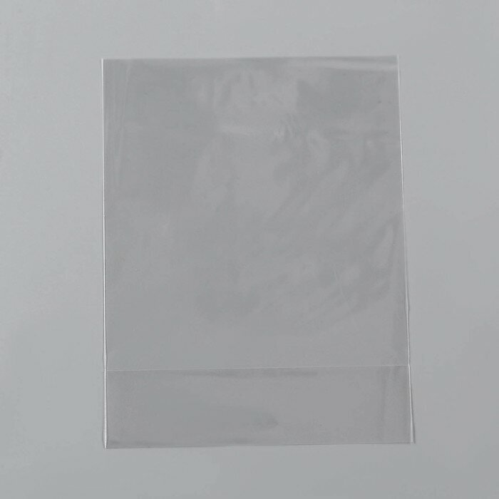 Пакет полипропиленовый фасовочный, прозрачный, 18*32*3 см, набор 20 шт - фотография № 1