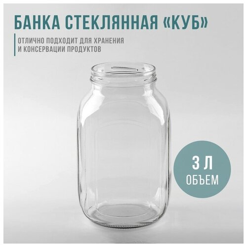 Банка стеклянная «Кубышка», 3 л, ТО-100 мм