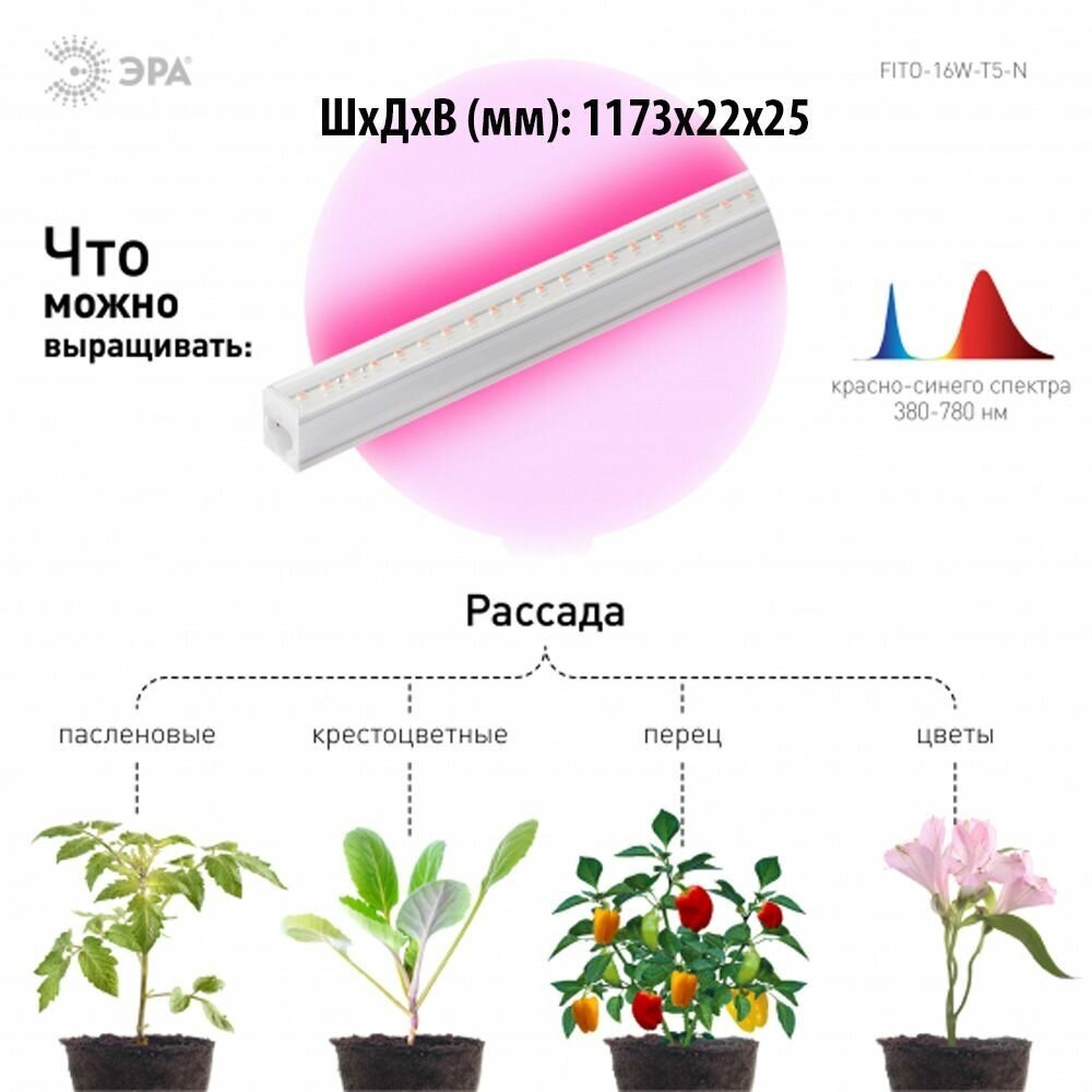 Фито лампа для рассады и растений светодиодная ЭРА FITO-16W-Т5-N 16W линейная/ Фито светильник для комнатных растений (комплект из 2 шт.) - фотография № 3