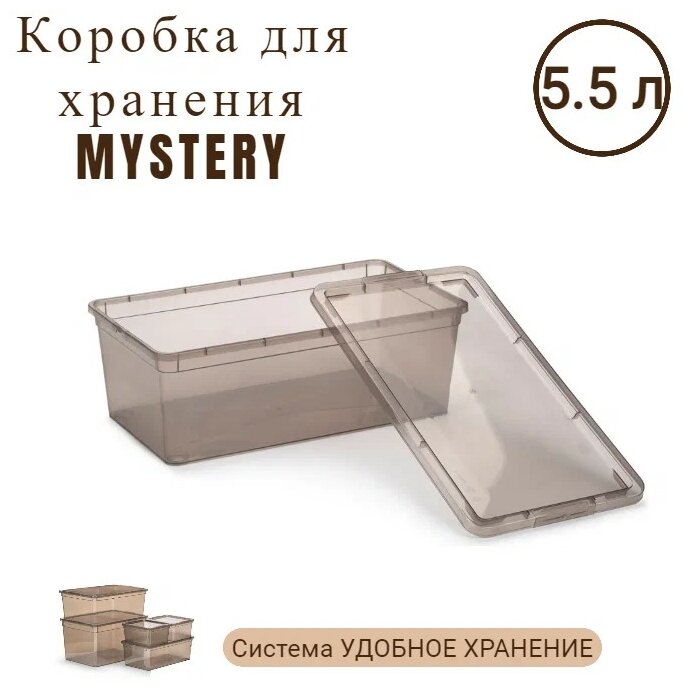 Коробка для хранения ПОЛИМЕРБЫТ Mystery 34х19х12 см
