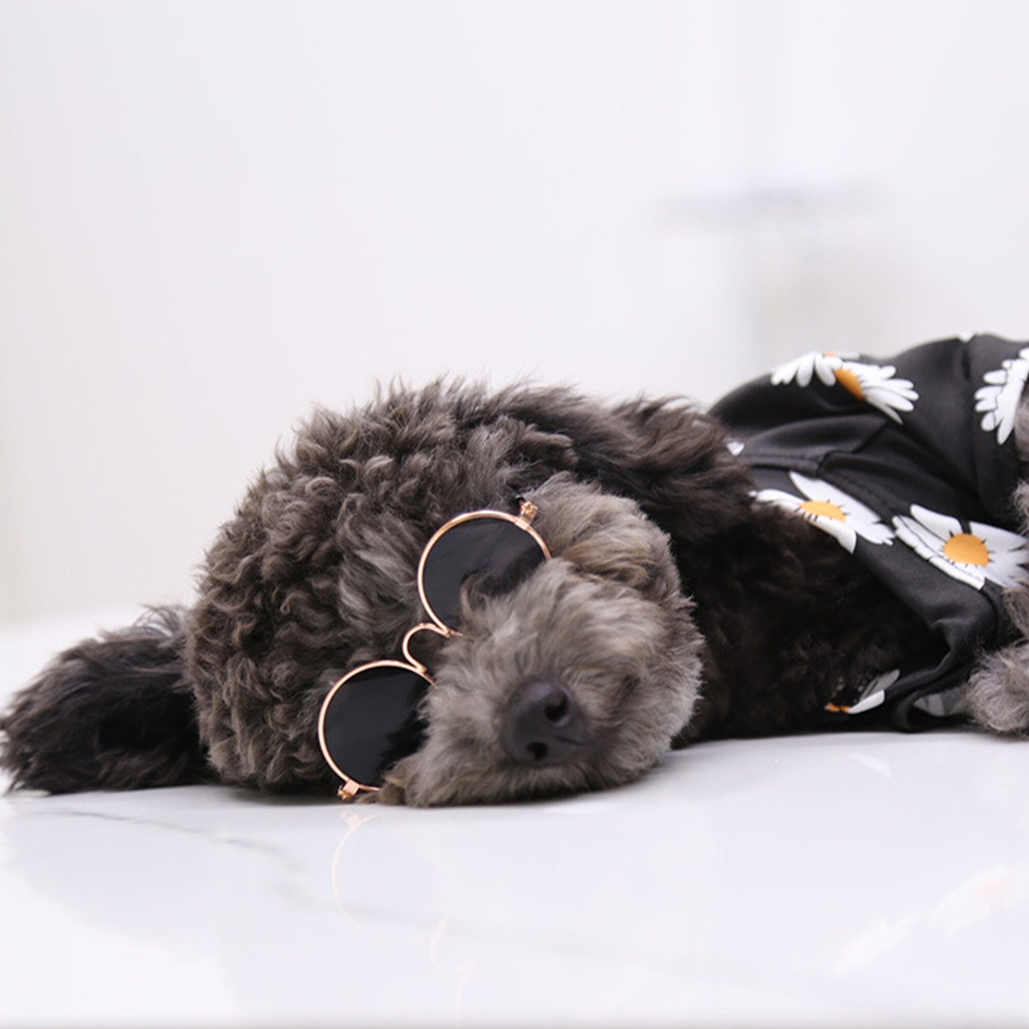 Солнцезащитные очки для животных, очки для собак и кошек, аксессуар для фотосессии - фотография № 5