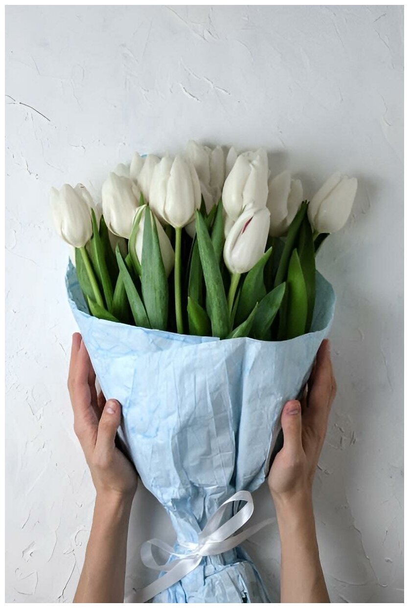 Белые тюльпаны 11 штук