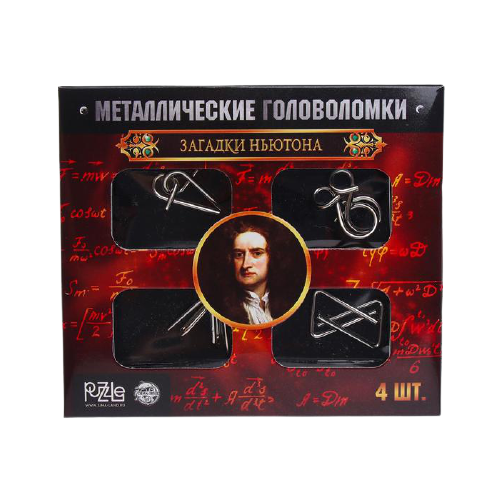 Головоломка металлическая Puzzle Загадки Ньютона набор 4 шт.