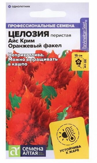 Семена цветов Целозия Айс Крим 