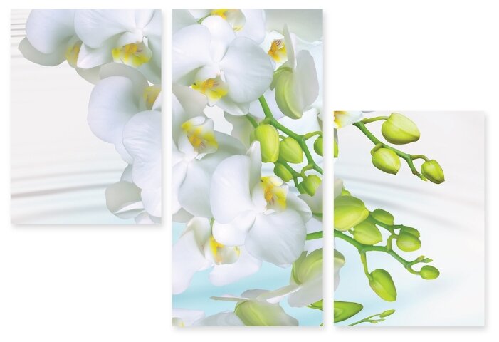 Модульная картина на холсте "Белые орхидеи" 90x63 см