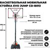 Мобильная баскетбольная стойка EVO JUMP CD-B013 - изображение