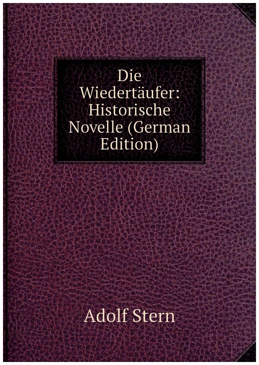 Die Wiedertäufer: Historische Novelle (German Edition)