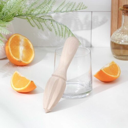 Соковыжималка бук 155x36x36 см 43200₽