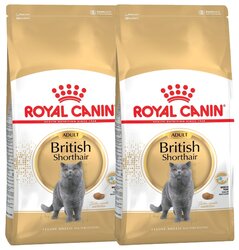 Сухой корм для кошек Royal Canin для британских короткошерстных