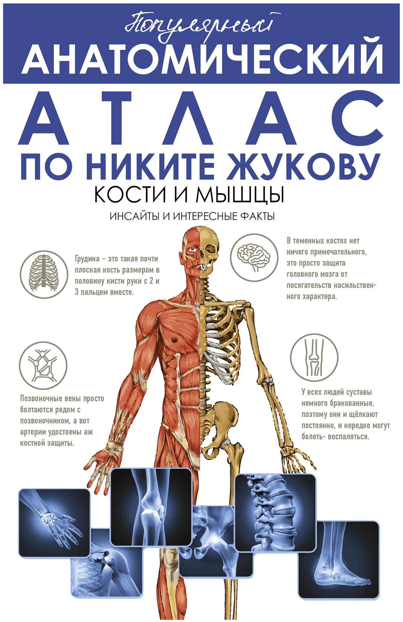 Популярный анатомический атлас по Никите Жукову: кости и мышцы. Инсайты и интересные факты - фото №1