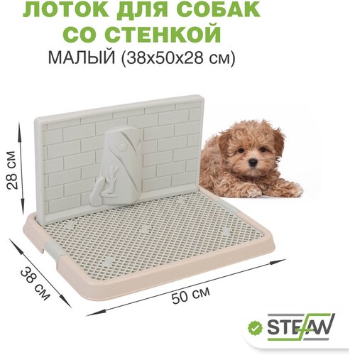Туалет лоток для собак со стенкой под пеленку малый STEFAN (Штефан) размер 50х38, BP1303G, бежевый, белый