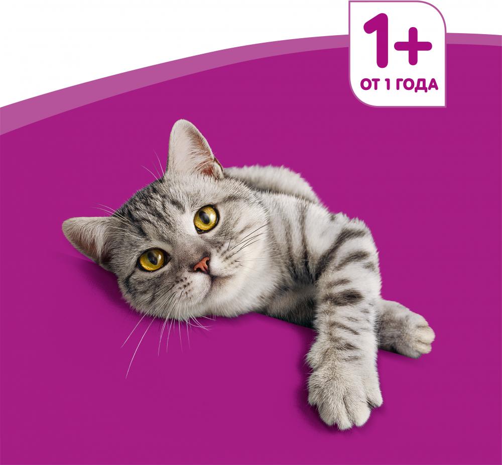 Влажный корм для кошек Whiskas с ягненком, с говядиной (кусочки в желе ...