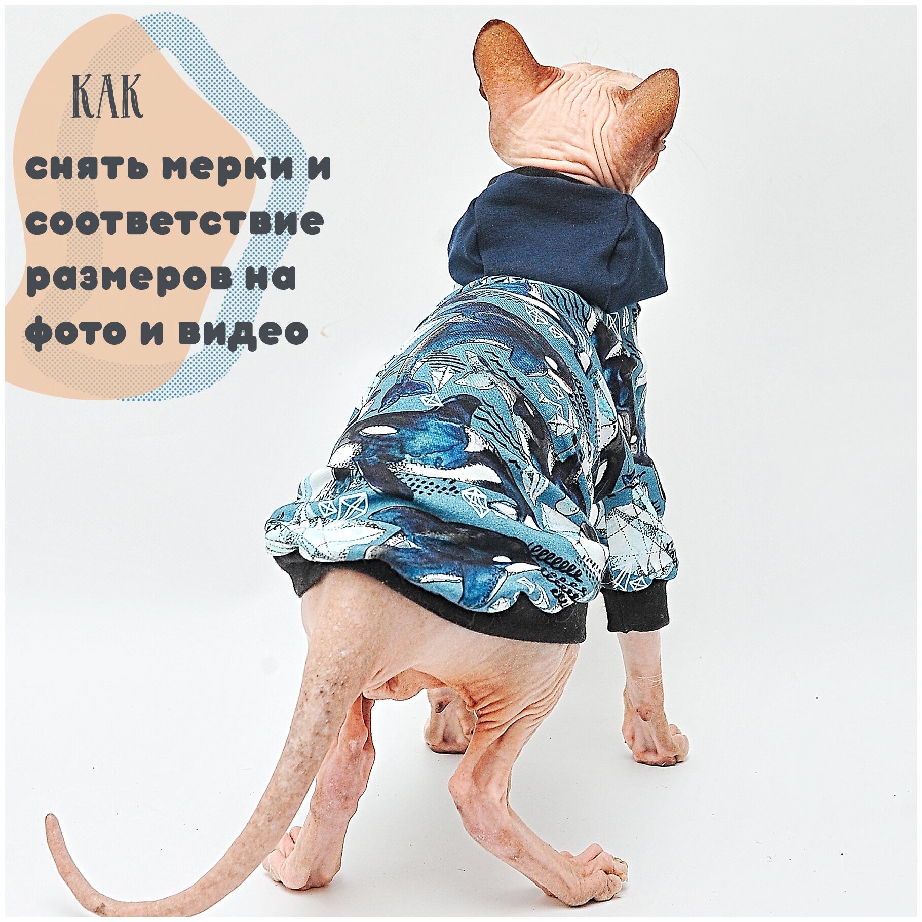 Одежда для кошек Элегантный Кот, толстовка Озорные Косатки , размер M - фотография № 8