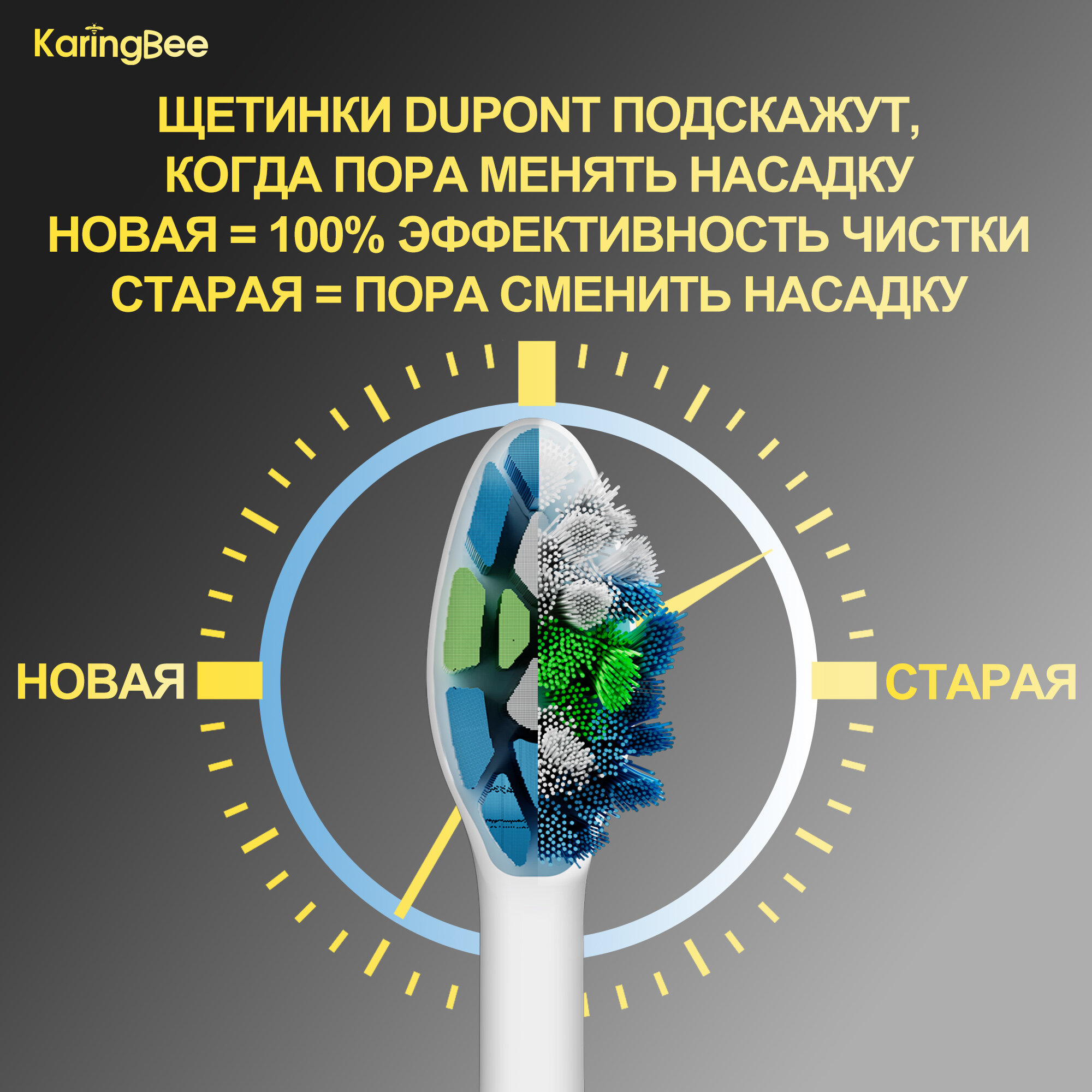 Картинки Зубная щетка KaringBee KB-R105, звуковая, питание от аккумулятора, белая