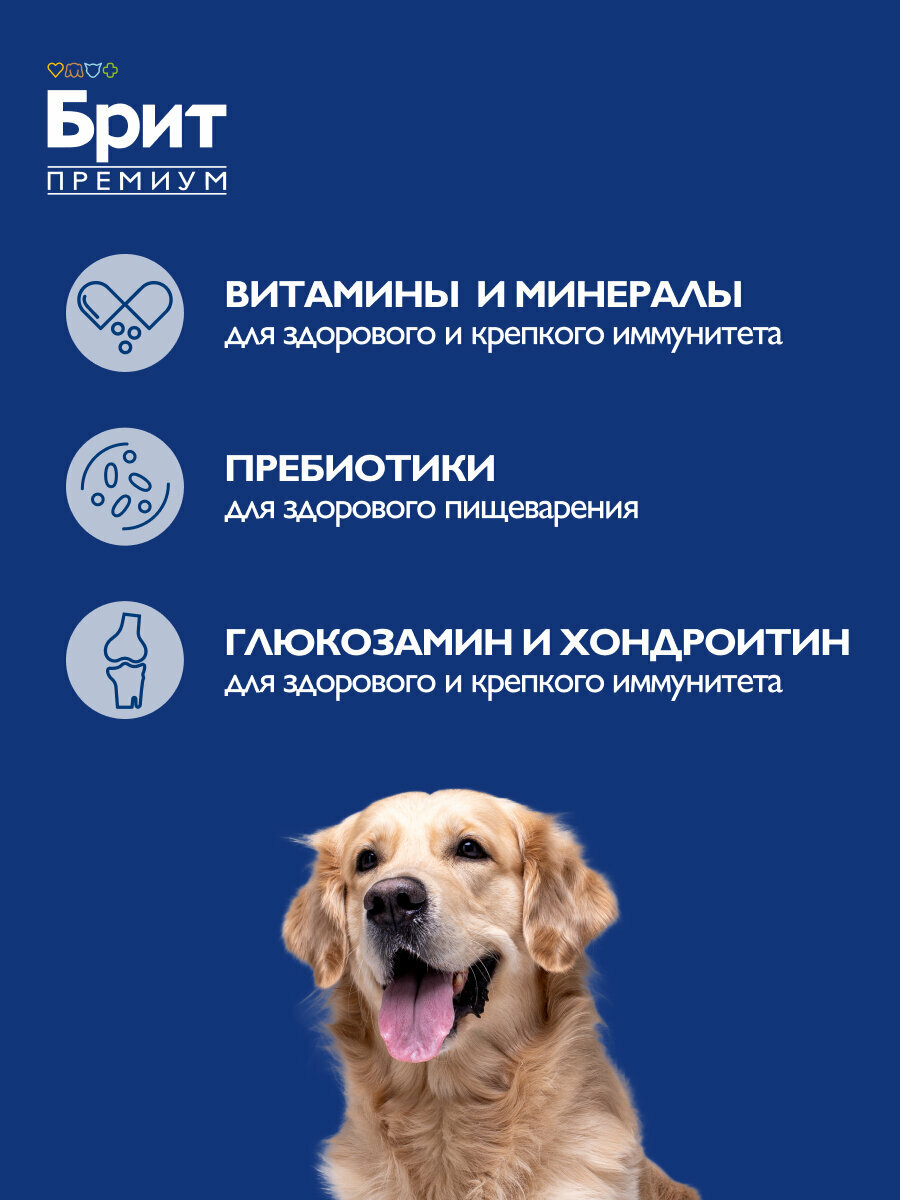 Сухой корм для взрослых собак крупных пород с курицей, 15кг BRIT PREMIUM — фото 1