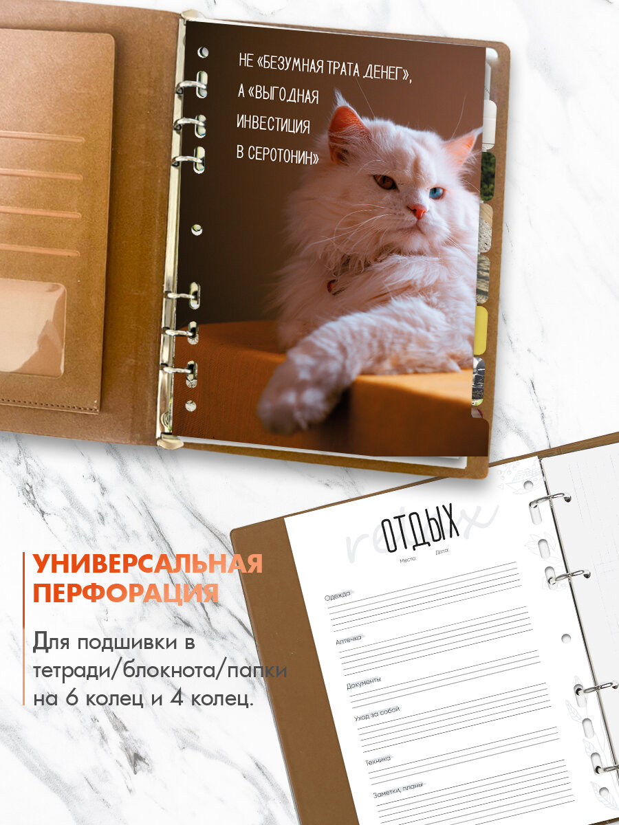 Разделители для тетради на кольцах А5 Милые котики, набор 8 шт, универсальная перфорация — фото 1