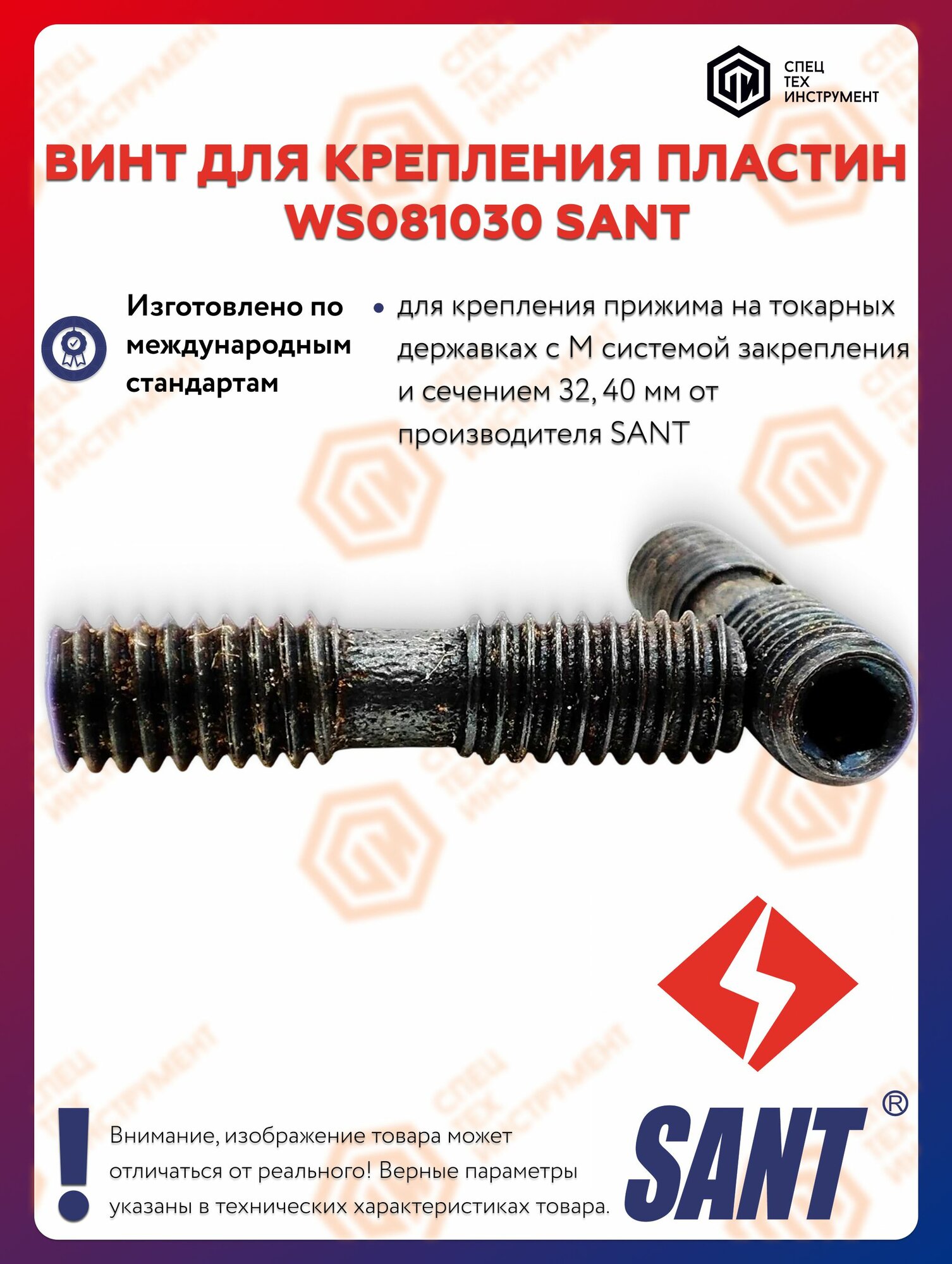 Винт WS081030 SANT