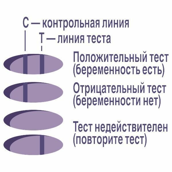 Тесты На Беременность Тест на беременность Plus Evitest/Эвитест 2шт