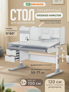 Изображение товара Детская растущая парта компьютерная Ergokids Hamilton Multi (BD-680) серая