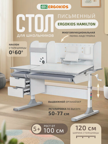 Изображение товара Детская растущая парта компьютерная Ergokids Hamilton Multi (BD-680) серая