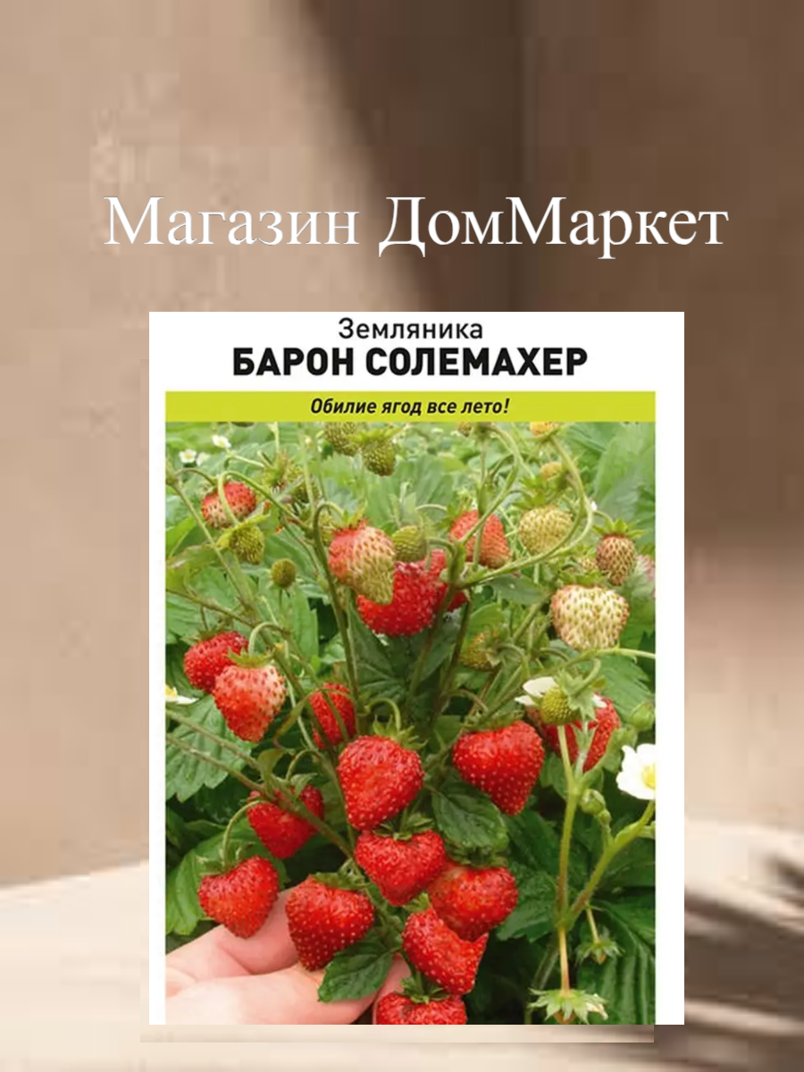 Земляника Барон Солемахер Русский огород ремонтантный безусый сорт семена