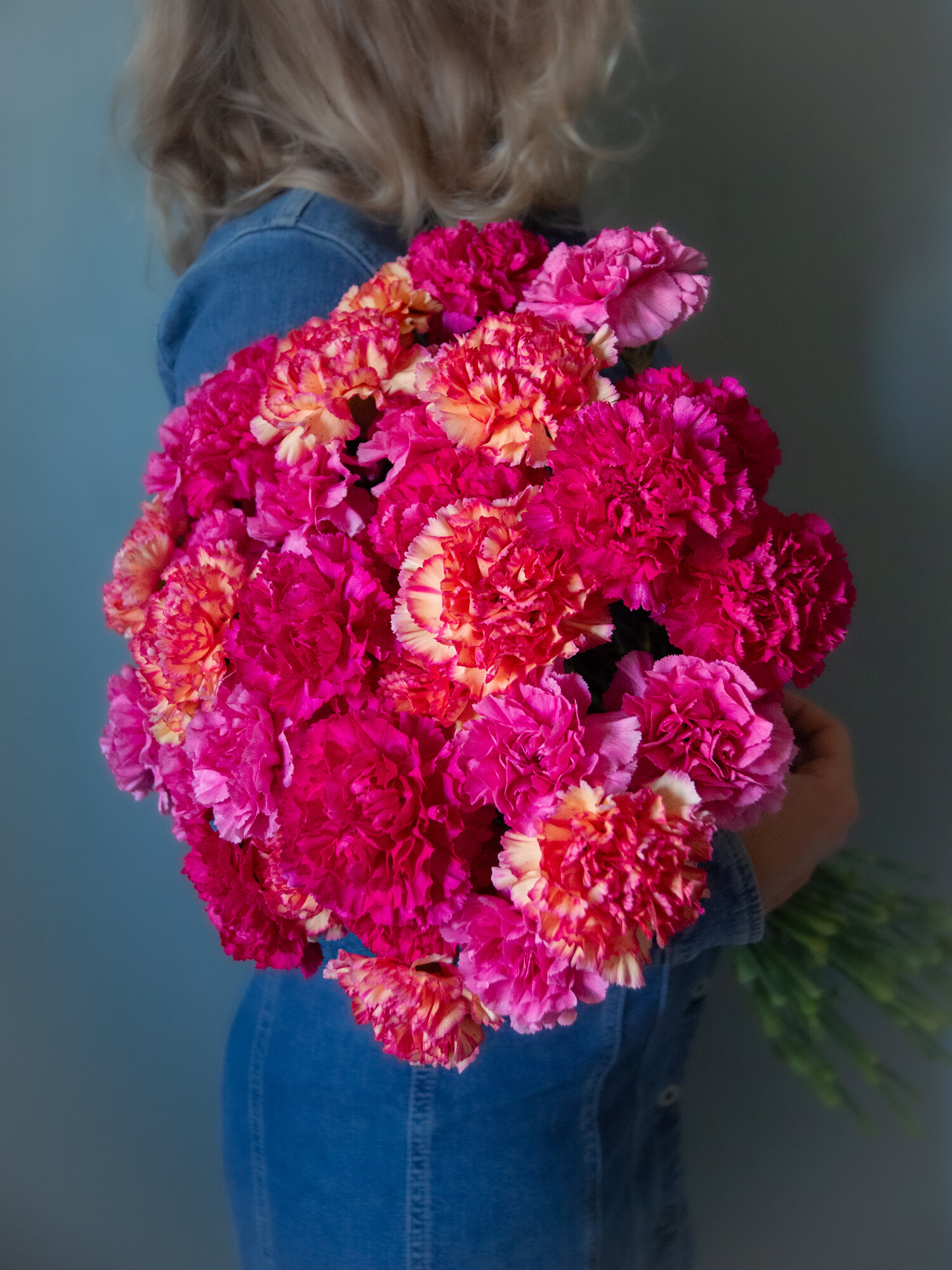 Букет живых цветов из 11 гвоздик с потрясающим градиентом оттенков цвета фуксия от насыщенного розового до фиолетового