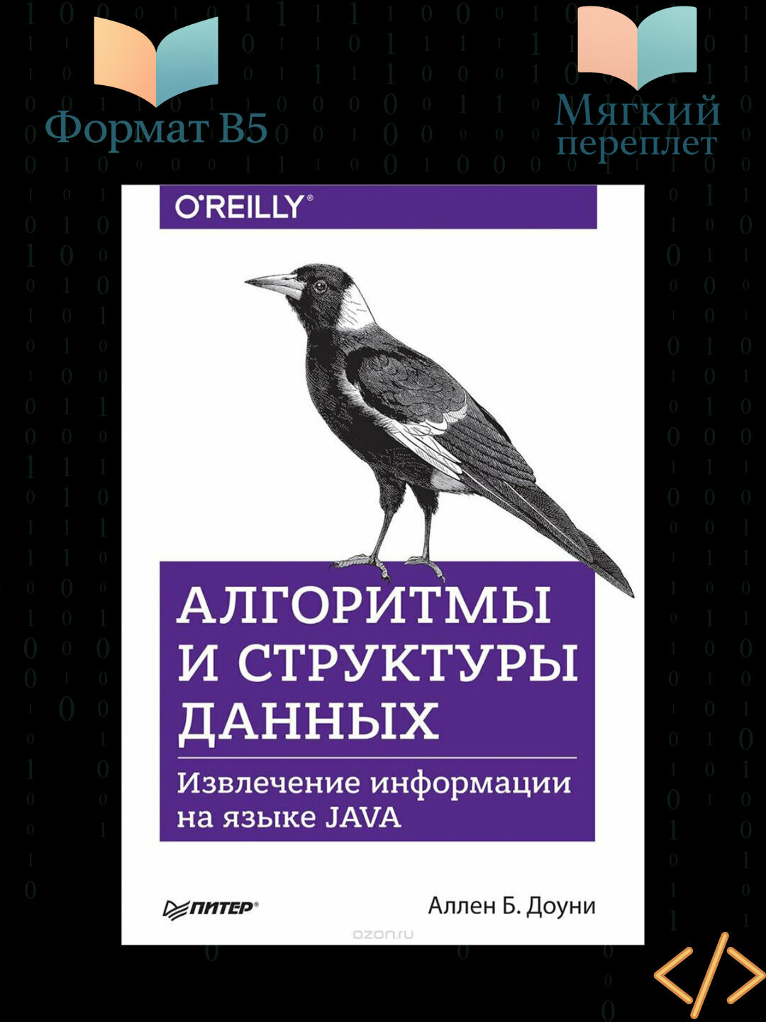 Алгоритмы и структуры данных, Извлечение информации на языке Java, Аллен Б. Доуни