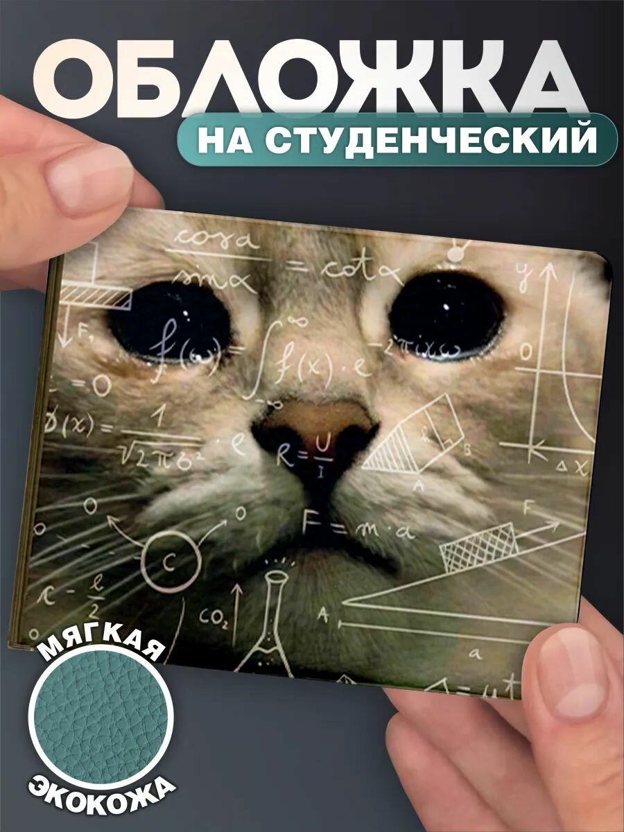Обложка для студенческого билета КРАСНИКОВА