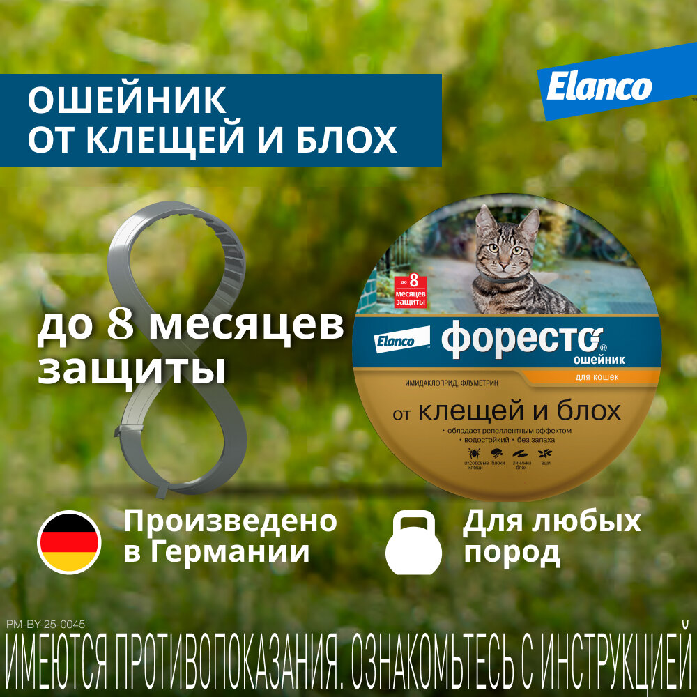 Ошейник Форесто (Elanco)  от клещей и блох для кошек