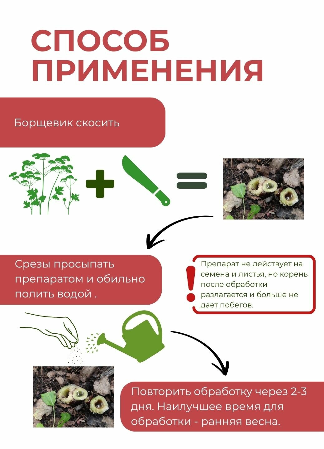 Изображение Гербицид, средство Агро Актив PRO Живые бактерии от борщевика и сорняков, биопрепарат 300 г.